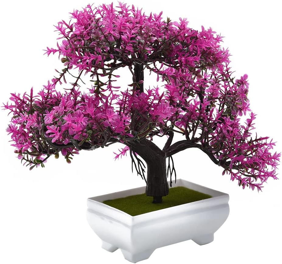 نباتات اصطناعية بونساي نبات صن - مراجعة Desk Setup At Home وسعره